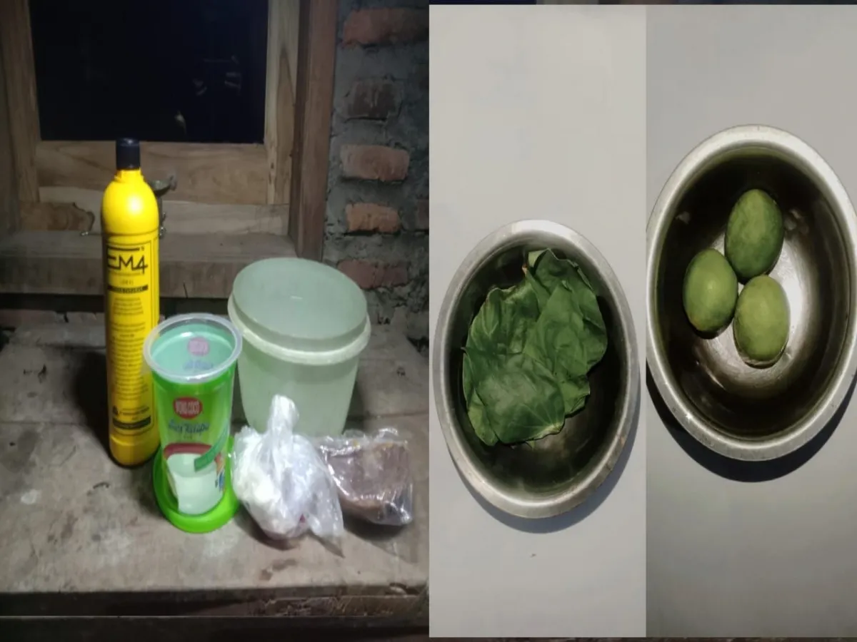 Mahasiswa KKN Undip Sosialisasikan Pembuatan Pupuk Cair dari Air Cucian Beras dan Hand Sanitizer dari Bahan Dapur di Desa Jaten