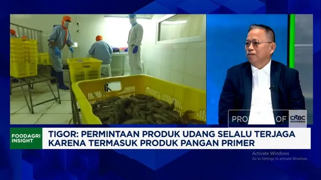 Bomar Optimistis Ekspor Udang RI Meluas, Bidik China dan Vietnam dengan Inovasi Teknologi