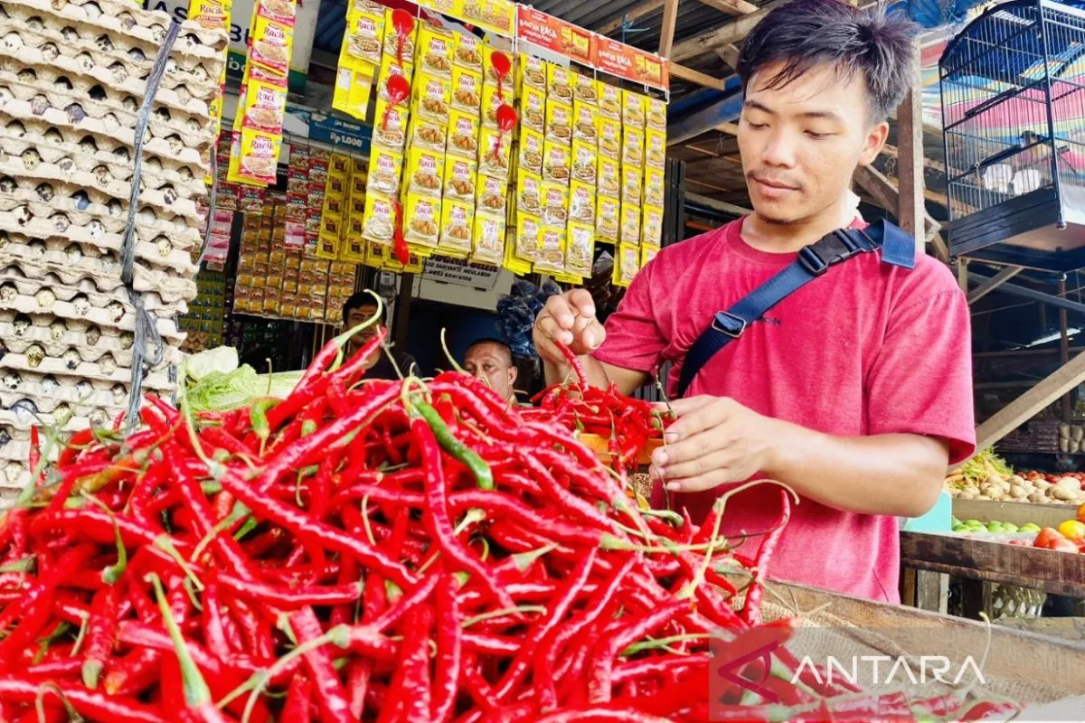 Harga Bumbu Dapur di Pasar Induk Meulaboh Naik Selama Libur Idul Fitri