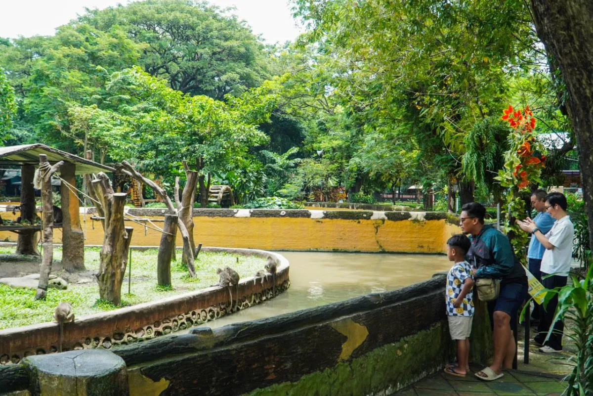Libur Lebaran 2026, Kebun Binatang Surabaya Siapkan Panggung Musik dan Reog Ponorogo