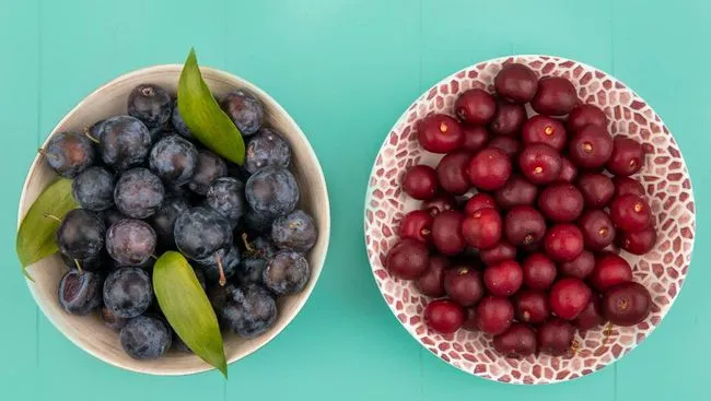 Empat Buah yang Masuk Kelompok Beri: Kaya Antioksidan dan Bisa Jadi Pilihan Saat Berbuka