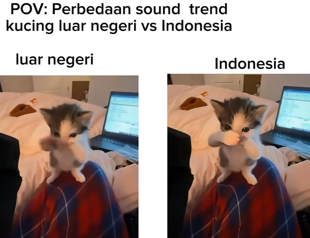 Tren TikTok: “Kicau Mania” Beradu dengan Scuba Dance, Netizen Padukan Estetika dan Humor Lokal