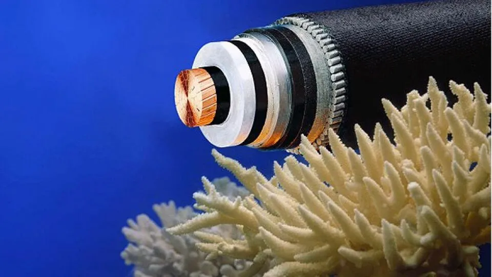 Perbaikan Kabel Bawah Laut Palapa Ring Tengah, Layanan Internet Sangihe dan Sitaro Berpotensi Terputus hingga 9 Hari pada April 2026