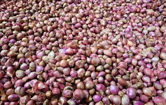 Harga Bumbu Dapur dan Sayuran di Sabang Masih Stabil, Pasokan Disebut Lancar