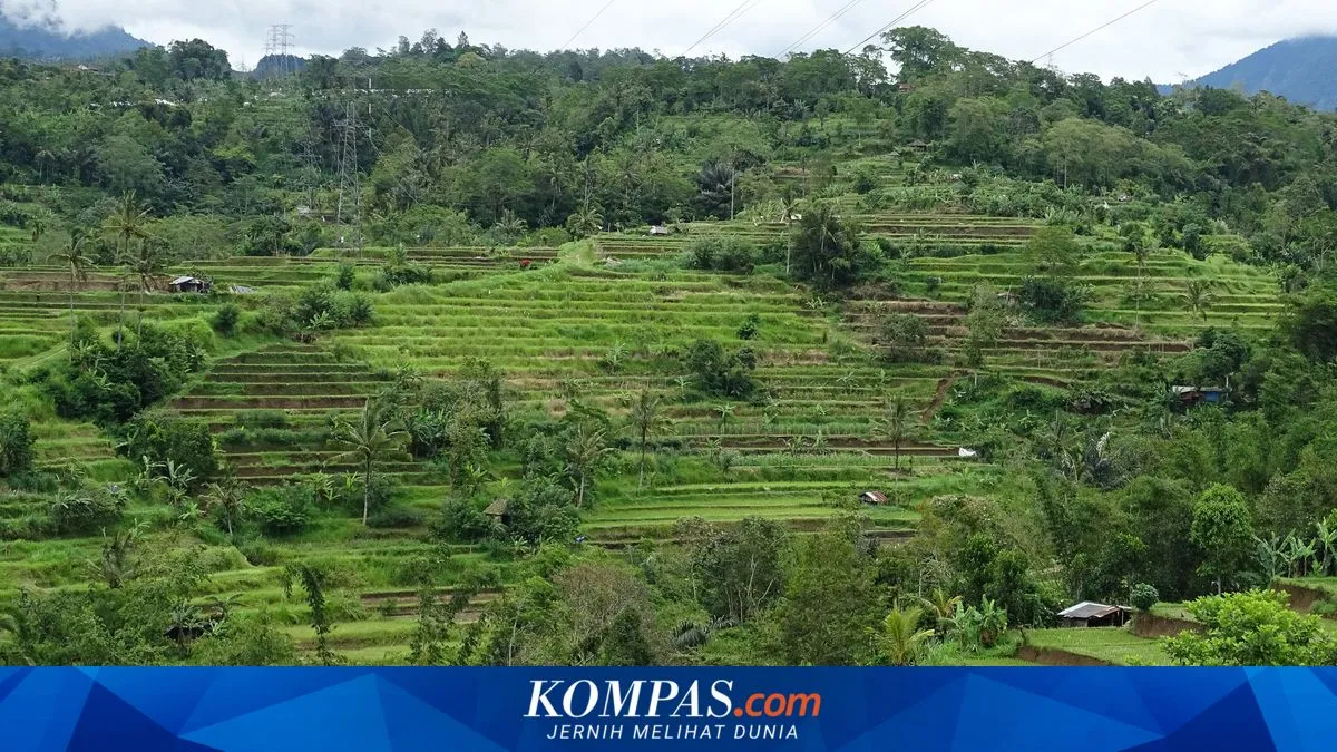 Bali Darurat Tata Ruang, Perda Baru Atur Sanksi hingga Pidana bagi Alih Fungsi Lahan dan Praktik Nominee