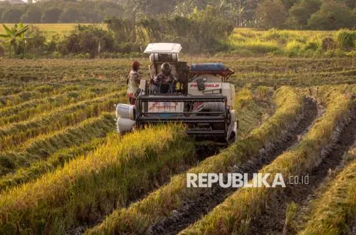 Indonesia Dorong Ketahanan Pangan Masuk Agenda Utama Reformasi Pertanian WTO