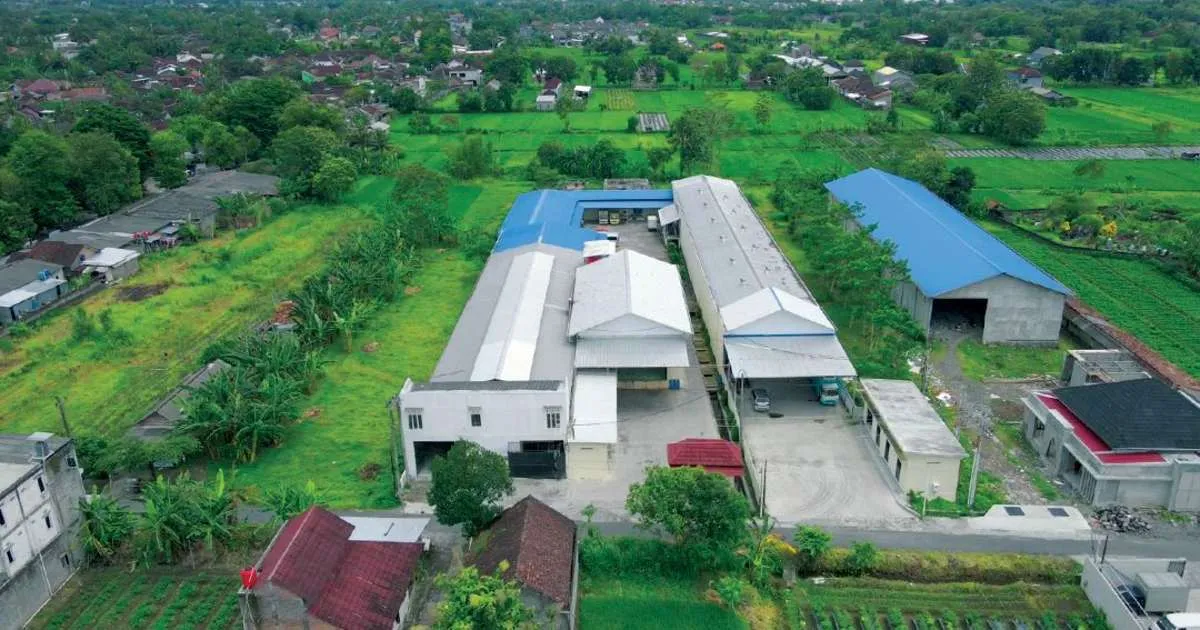 AYAM Diproyeksikan Masuk Fase Pemulihan Mulai 2026, Phillip Sekuritas Pasang Target Rp 600