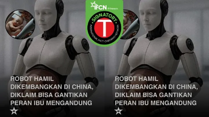 Klaim Cina Kembangkan Robot Berrahim untuk Menggantikan Ibu Disebut Fiksi