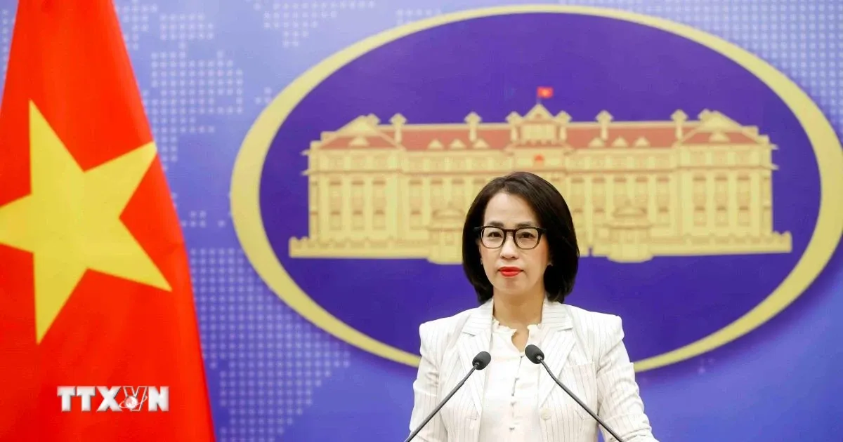 Vietnam Tekankan Komitmen Transparansi Pajak di Tengah Masuknya ke Daftar UE Wilayah Pajak Tak Kooperatif