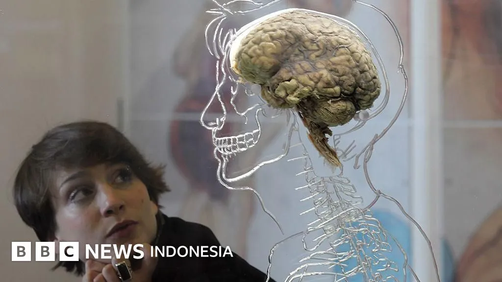 Politisi Lansia Maju Pemilu: Sejauh Mana Usia Mempengaruhi Kemampuan Memimpin?
