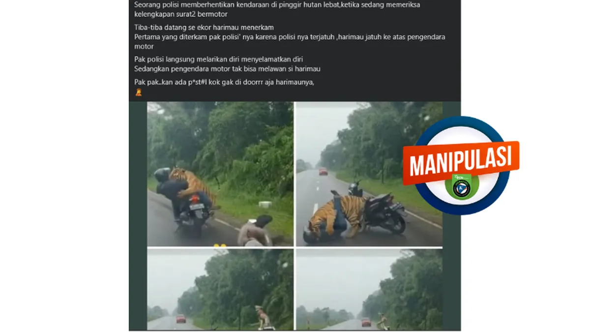 Cek Fakta: Video Pengendara Motor Diterkam Harimau Saat Ditilang Polisi Ternyata Konten Buatan AI