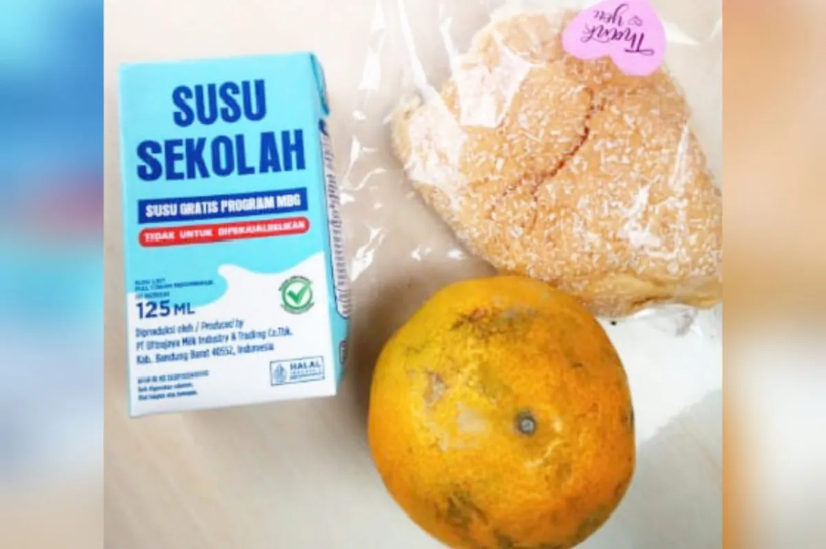 Menu MBG di TK Bhayangkari Soko Tuban Disoal Wali Murid, Transparansi Anggaran Dipertanyakan