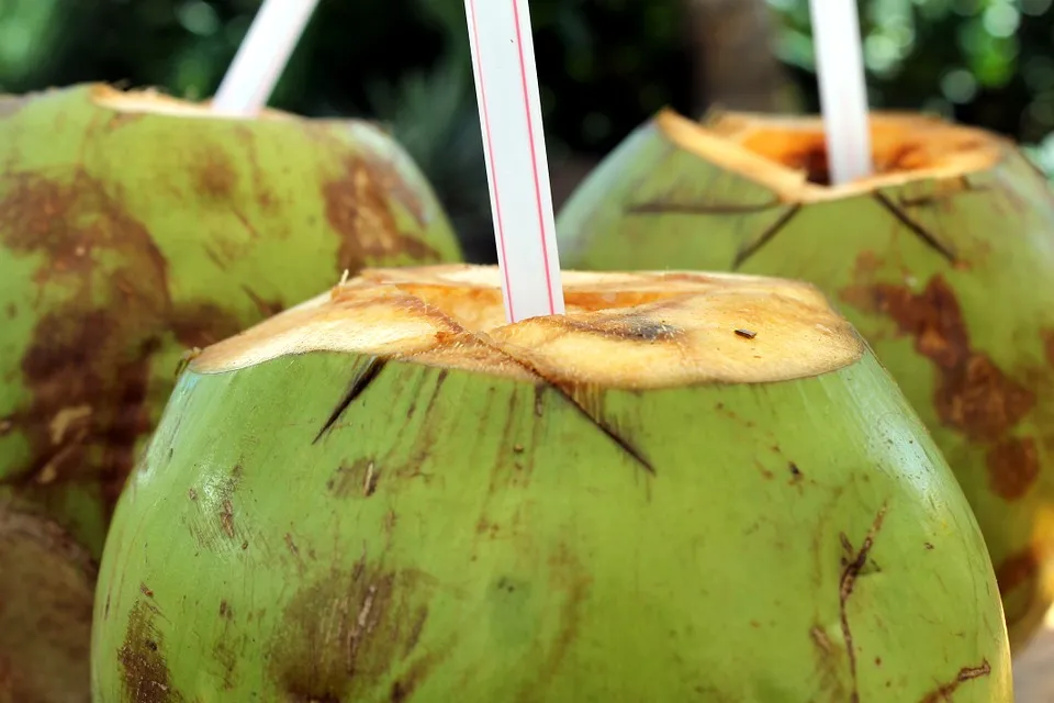 Gadis di India Minum Air Kelapa Setiap Hari Selama Sepekan, Ini Perubahan yang Ia Rasakan