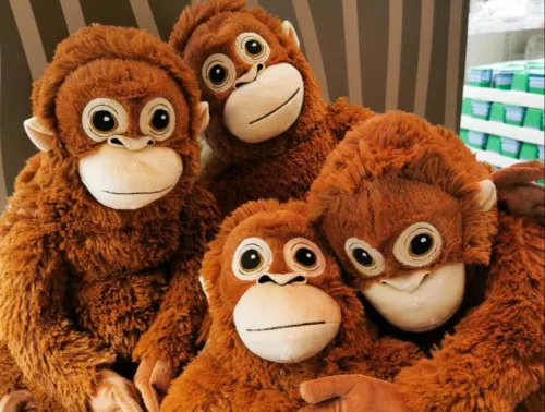 Kera Jepang Bernama Punch Viral, Boneka Orangutan IKEA Laris Diburu Penggemar