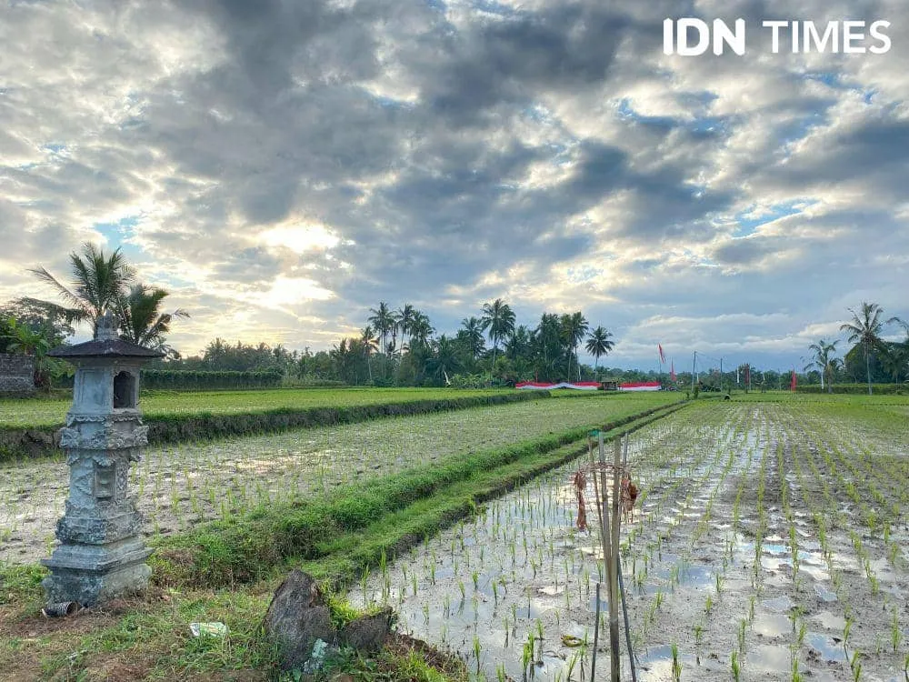 Rumawan: Peran Warga dan Transparansi Data Penting untuk Cegah Alih Fungsi Lahan di Bali