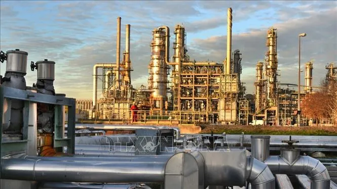 Putin Nyatakan Rusia Siap Pasok Energi ke Eropa, Minta Kerja Sama Bebas Tekanan Politik