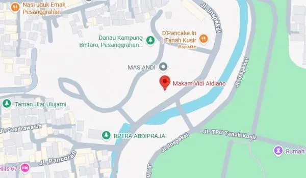 Makam Vidi Aldiano Terdaftar di Google Maps, Keluarga Mengaku Tak Pernah Mendaftarkan