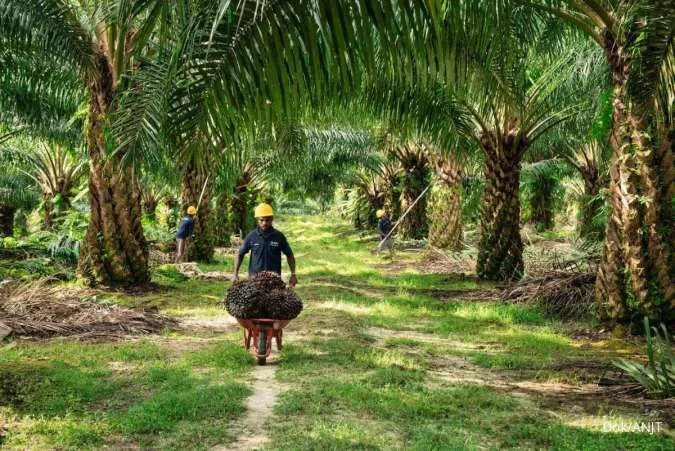 ANJT Jelaskan ke BEI Soal Fasilitas Term Loan Rp 4,84 Triliun dari BRI