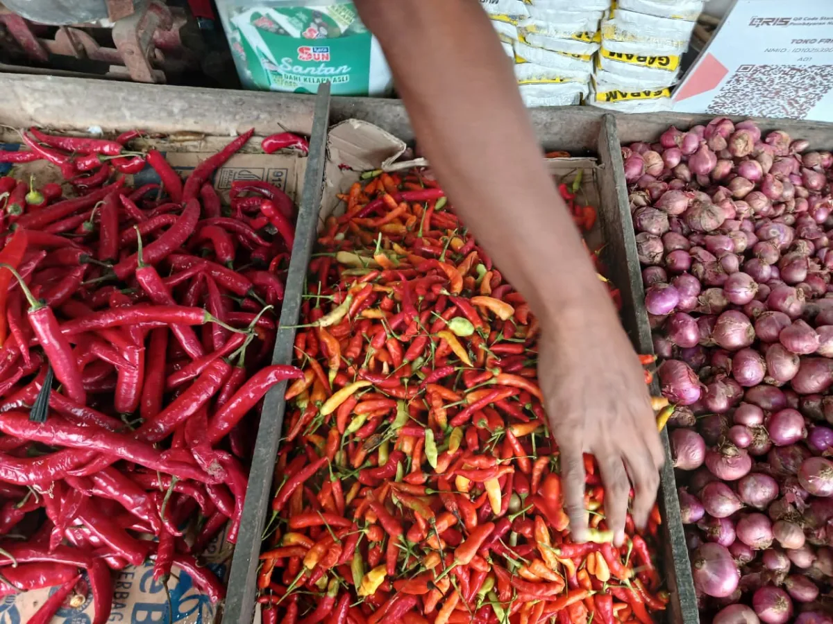 Harga Bahan Pokok di Kota Mookerto Masih Tinggi, Cabai Rawit Rp 85 Ribu per Kilogram