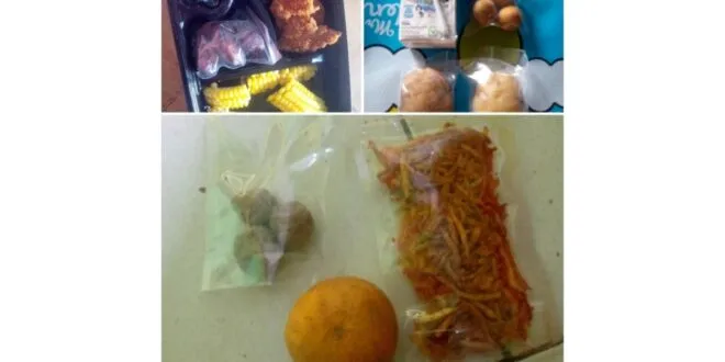 Orang Tua Siswa SD Salebu Soroti Menu MBG, Pengelola Dapur Sehat Klaim Sesuai Arahan BGN