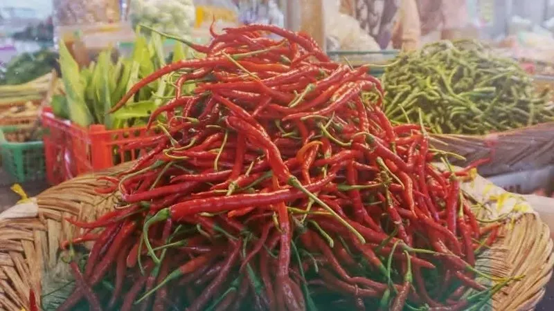 Harga Cabai di Padang Panjang Kompak Turun pada Pekan Ketiga Januari 2026, Rawit Turun Paling Tajam