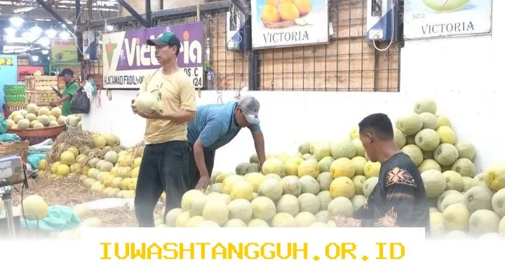 Pasokan ke 25 Dapur MBG Dongkrak Permintaan Buah di Pasar Induk Kramat Jati pada 2026