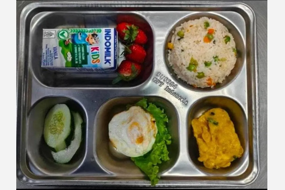 Dinkes Sleman Soroti Menu Kemasan dalam Program MBG untuk Ibu Hamil