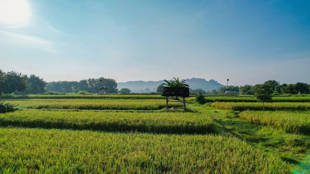 ATR/BPN Dorong Penguatan Tata Ruang untuk Dukung Program Prioritas Presiden Prabowo