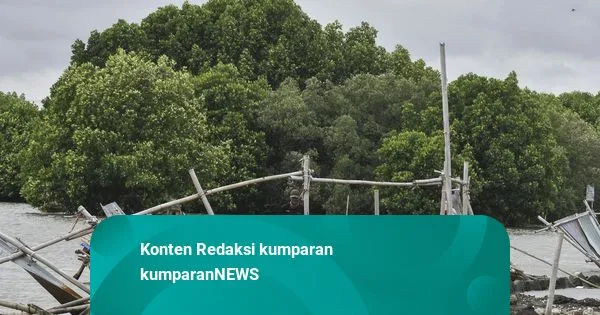 KLHK Evaluasi KLHS Tata Ruang di Sejumlah Provinsi, Nilai Tak Lagi Memadai Hadapi Dampak Iklim