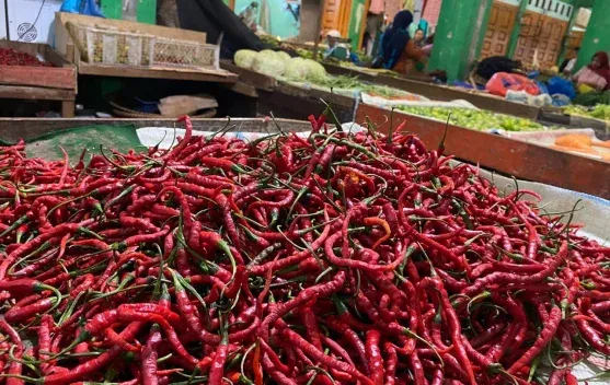 Harga Cabai di Sabang Naik Usai Lebaran, Capai Rp58 Ribu per Kilogram