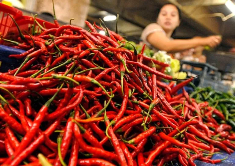 Harga Cabai Merah, Hijau, dan Rawit di Padangpanjang Turun pada Pekan Ketiga Januari 2026