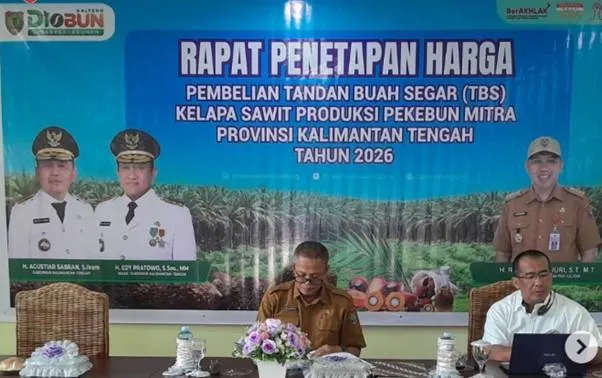 Harga TBS Sawit Kalteng Periode I Januari 2026 Turun Jadi Rp3.340,40 per Kg