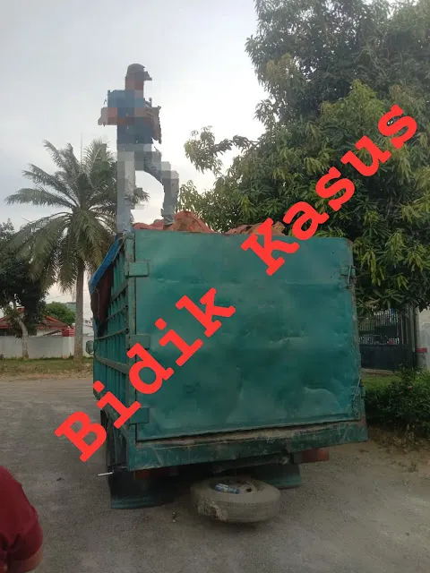 Truk Bermuatan Kayu Diduga Tanpa Dokumen Diamankan di Mapolsek Kualuh Hulu, Warganet Pertanyakan Transparansi