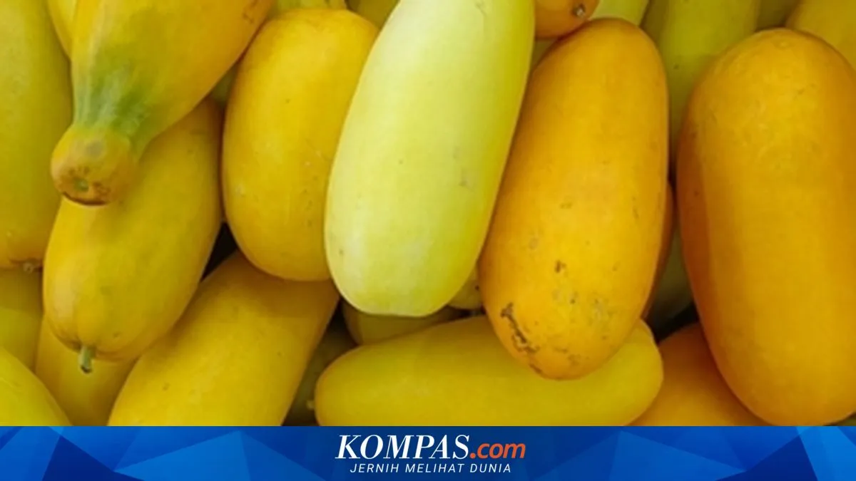 Tips Memilih Timun Suri yang Manis dan Berkualitas untuk Menu Berbuka
