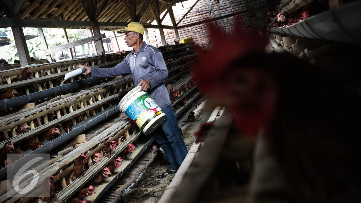 BRIN Gandeng FAO Siapkan Riset untuk Tekan Emisi Metan dan Dorong Peternakan Berkelanjutan
