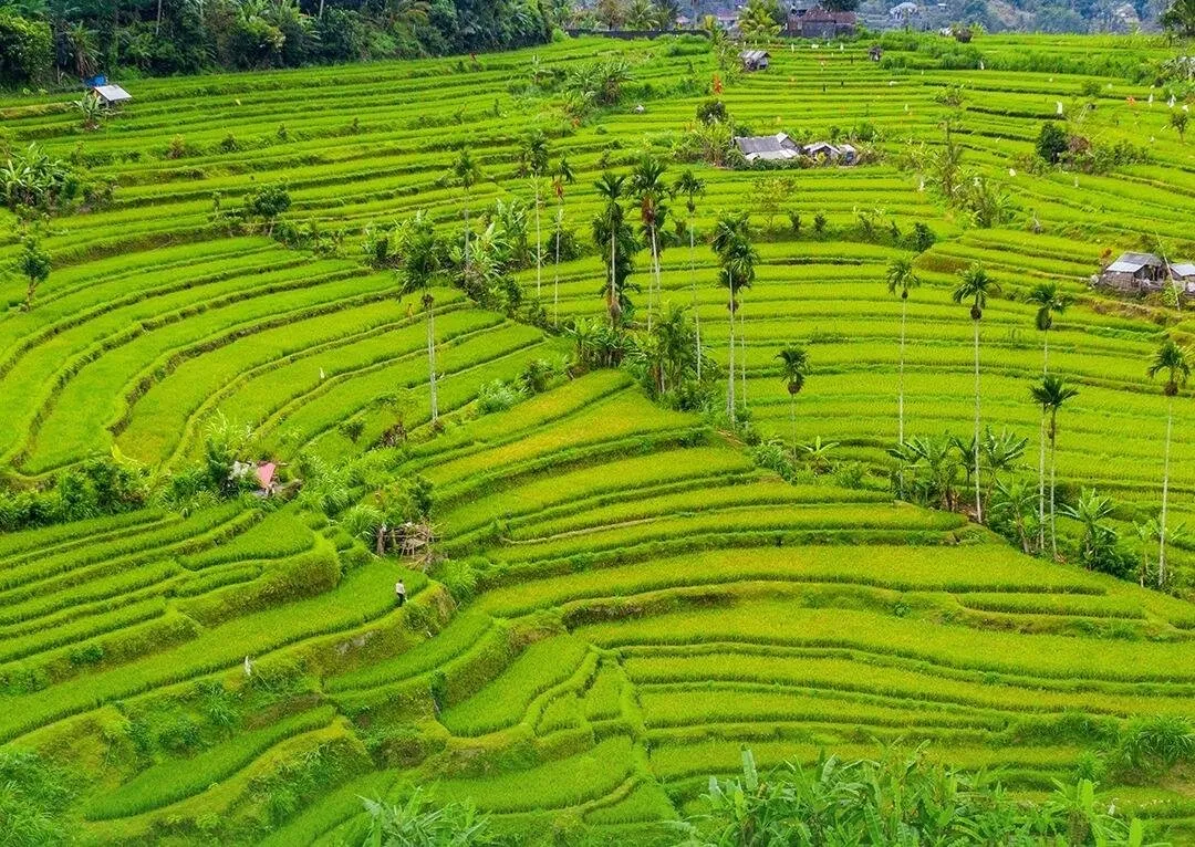 Ditjen Tata Ruang Bahas Penguatan Persetujuan Bersama Penetapan LP2B di Daerah