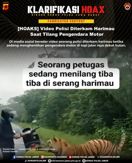 Cek Fakta: Video Polisi Diterkam Harimau Saat Menilang Pengendara Motor Tidak Benar