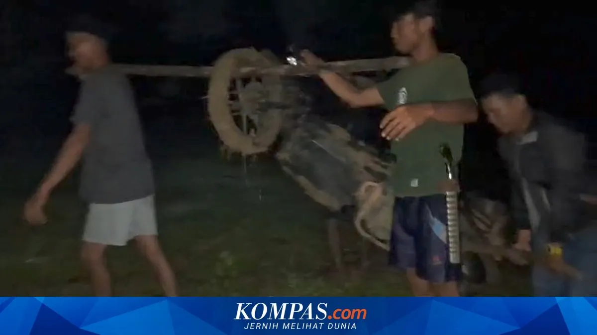 Ikuti Jalur Alternatif di Aplikasi Peta, Pemudik Asal Banyumas Tersesat di Hutan Pemalang