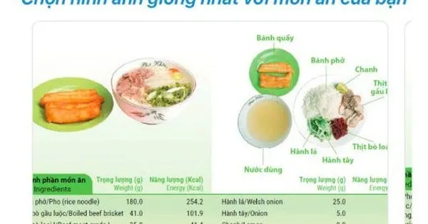 Aplikasi VNeNUTRITION: Upaya Digitalisasi Informasi Gizi untuk Mendukung Pola Makan Sehat