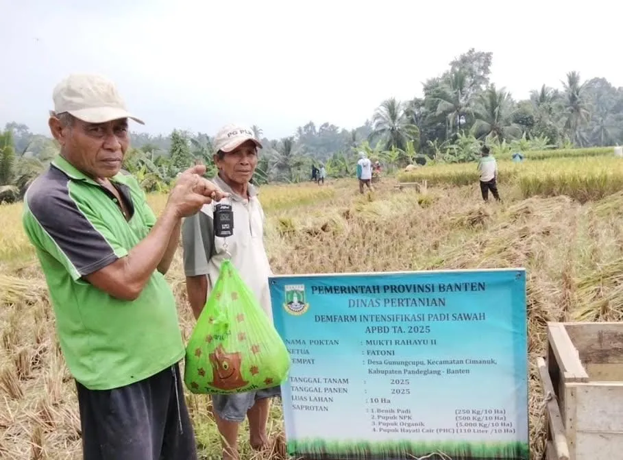 Banjir Berulang Rendam Ribuan Hektare Sawah di Banten, Distan Ajukan Bantuan Benih dan Perluas Asuransi Tani