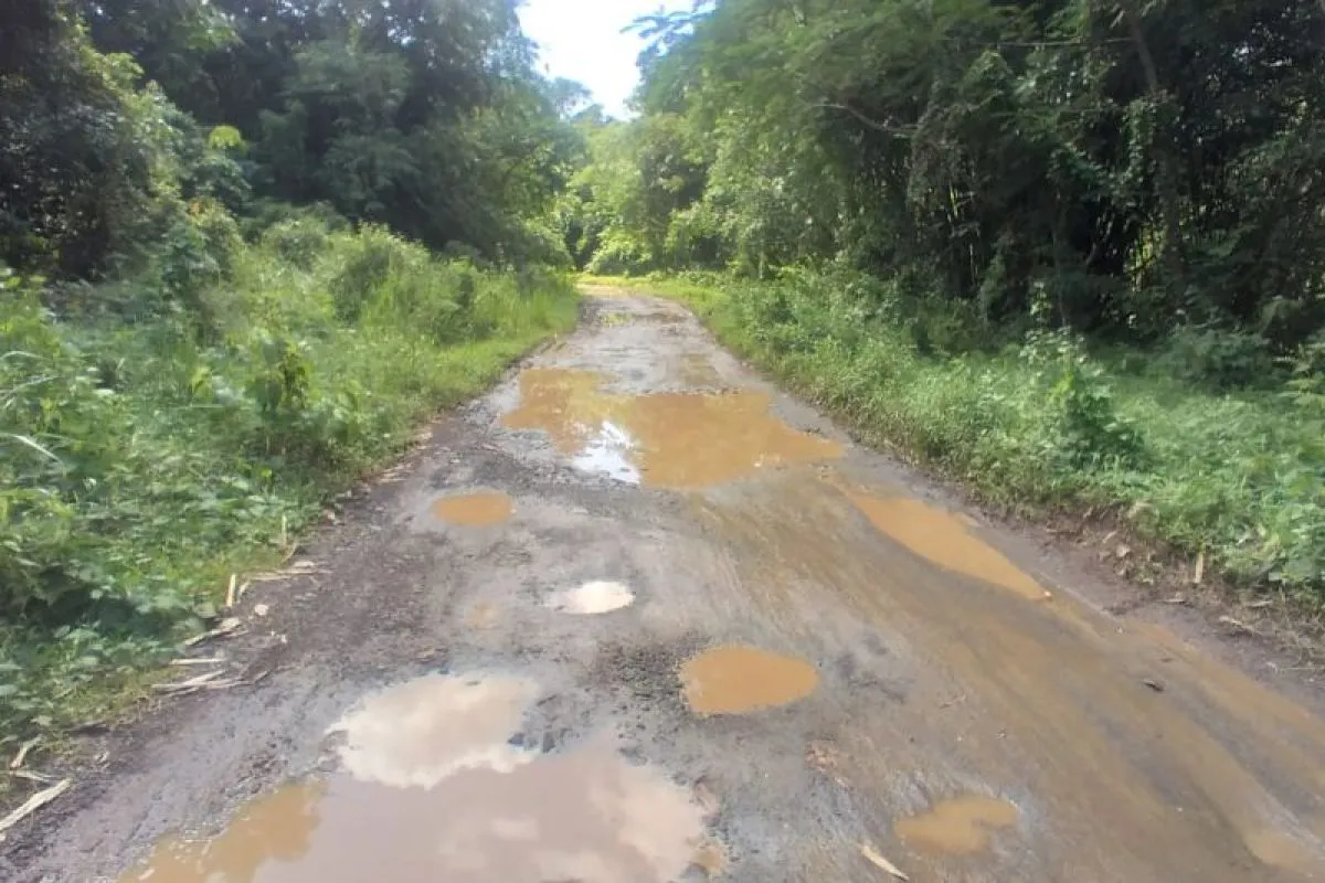 Pemkab Lebak Alokasikan Rp75,5 Miliar untuk Perbaikan Jalan Kabupaten dan Desa