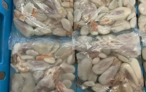 Telur Sotong Kian Diminati Warga Tanjungpinang, Peluang Baru bagi Usaha Kuliner Pesisir