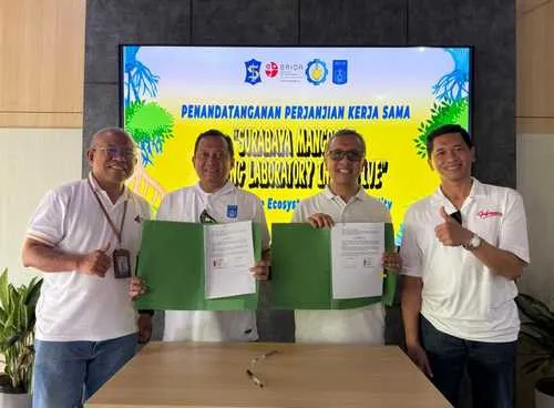 ITS dan BRIDA Surabaya Tinjau Kebun Raya Mangrove untuk Dikembangkan sebagai Laboratorium Hidup
