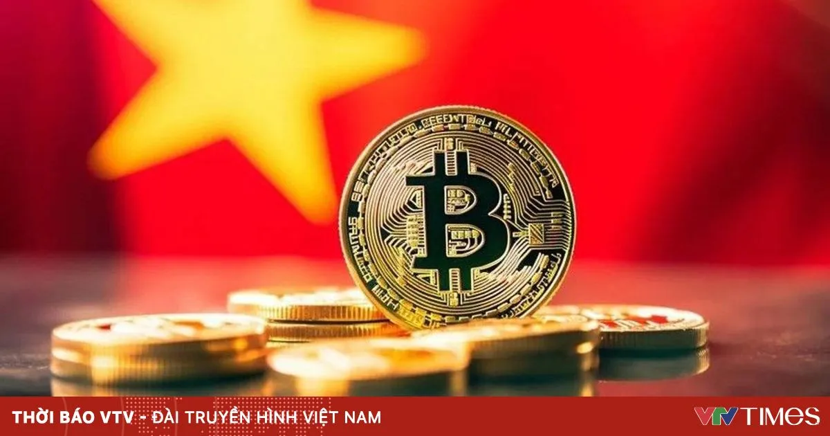 Vietnam Uji Coba Bursa Kripto sebelum 28 Februari 2026, Tetapkan Syarat Modal Minimum 10 Triliun VND
