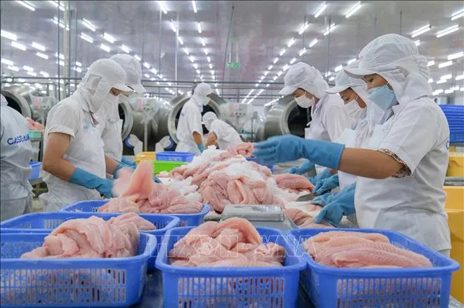 Kementerian Keuangan Vietnam Susun Rencana Perbaikan Iklim Investasi dan Bisnis Sektor Keuangan