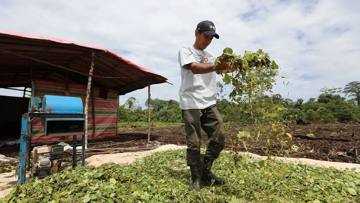 Data Produksi hingga Pencatatan Keuangan Dorong Petani Nilam Aceh Lebih Layak Akses Kredit