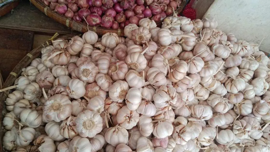 Bawang Putih Tak Sekadar Bumbu, Warga Blitar Manfaatkan untuk Menjaga Kesehatan