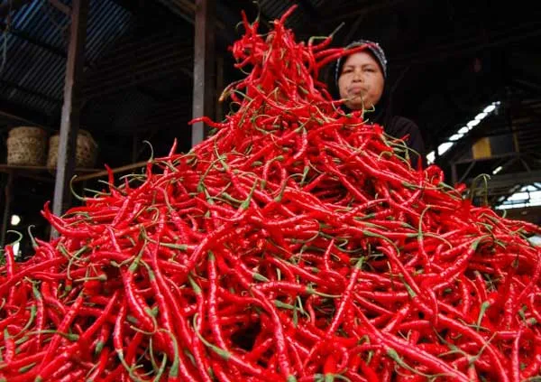 Harga Pangan 15 Juni 2026: Cabai Rawit Merah Tembus Rp79.000/Kg, Minyak Goreng Masih di Atas Rp20.000/Liter