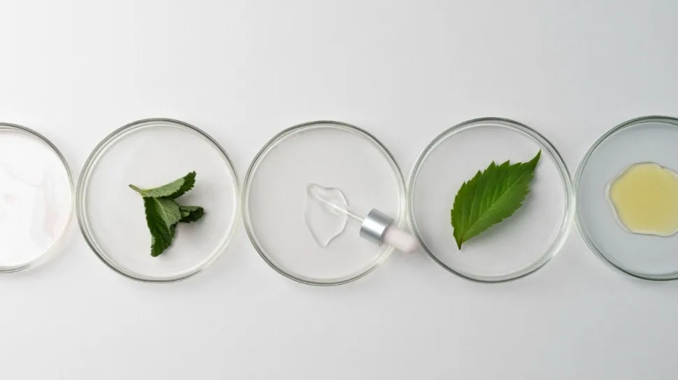 BPOM Dorong Kolaborasi Riset dan Industri untuk Optimalkan Biodiversitas dalam Kosmetik Lokal