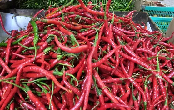 Harga Cabai Merah di Pasar Sabang Naik ke Rp42 Ribu per Kilogram